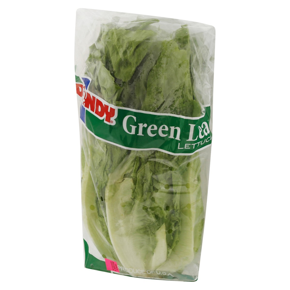 slide 2 of 9, Dandy Green Leaf Lettuce - Each, 1 ct