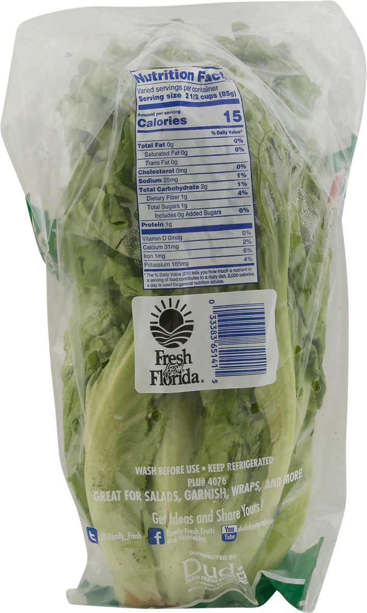 slide 6 of 9, Dandy Green Leaf Lettuce - Each, 1 ct