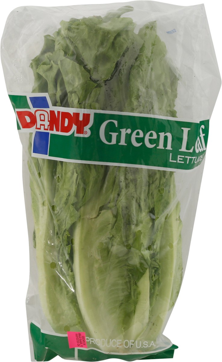 slide 8 of 9, Dandy Green Leaf Lettuce - Each, 1 ct