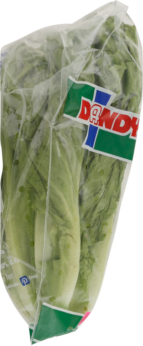 slide 4 of 9, Dandy Green Leaf Lettuce - Each, 1 ct