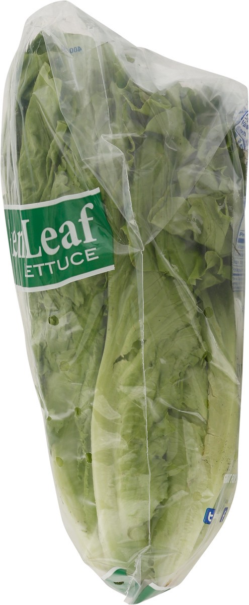 slide 9 of 9, Dandy Green Leaf Lettuce - Each, 1 ct