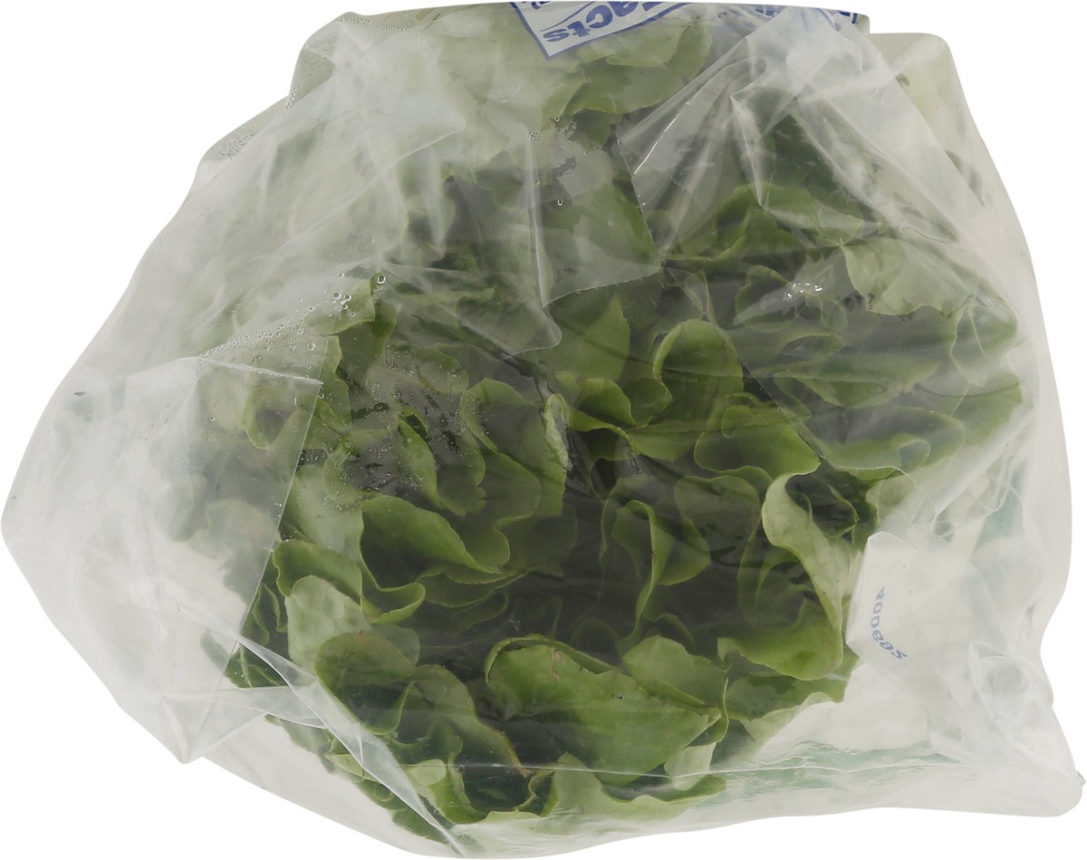 slide 7 of 9, Dandy Green Leaf Lettuce - Each, 1 ct