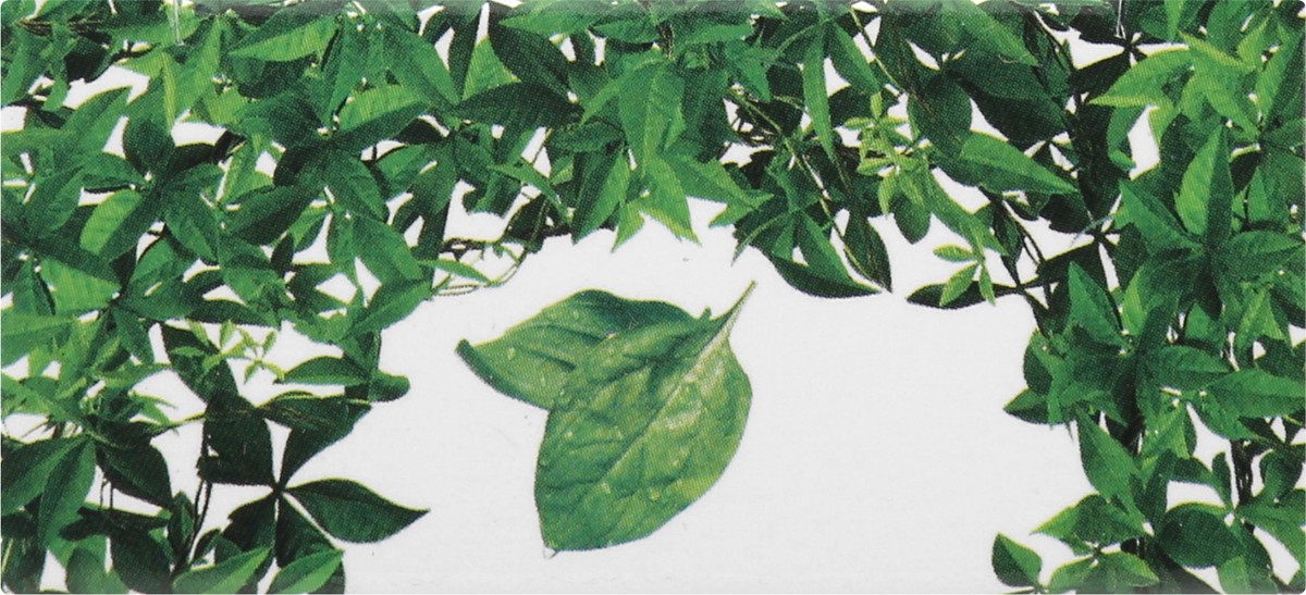 slide 11 of 12, Nailtopia Spinach Nail Strengthener 12 oz, 1 ct