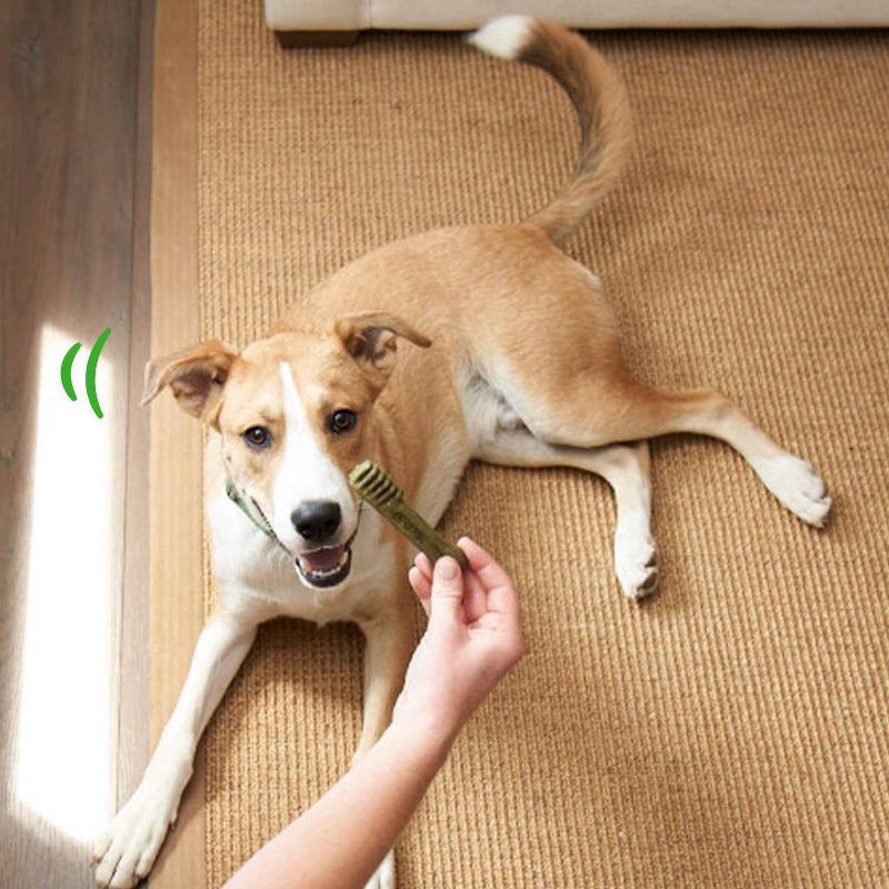 slide 5 of 10, Greenies 6 Months+ Puppy Daily Dental Dog Treats 20 ea, 20 ct; 12 oz