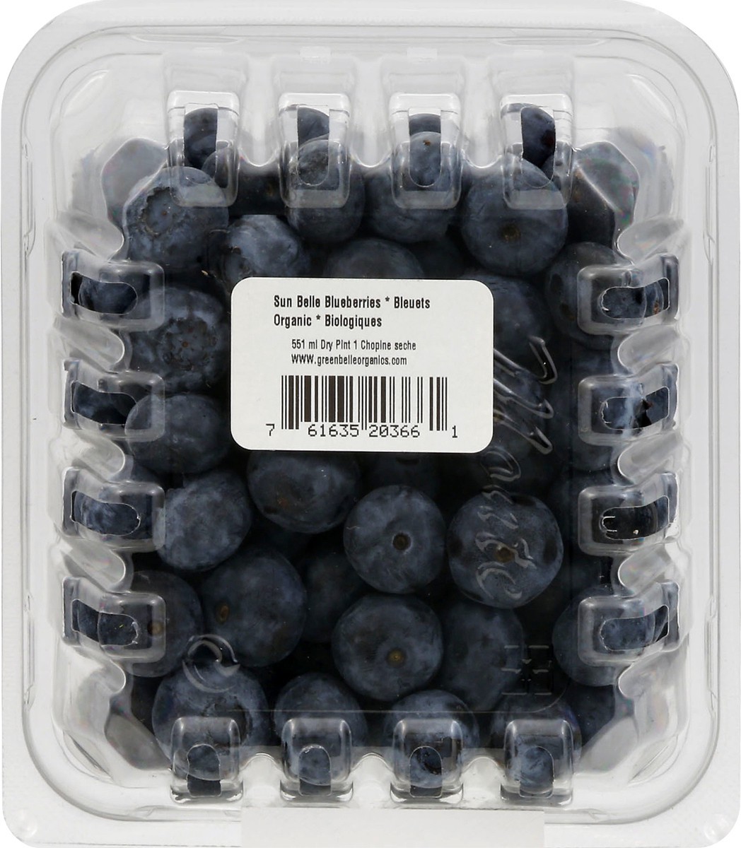 slide 7 of 9, GreenBelle Organic Blueberries 551 ml, 551 ml