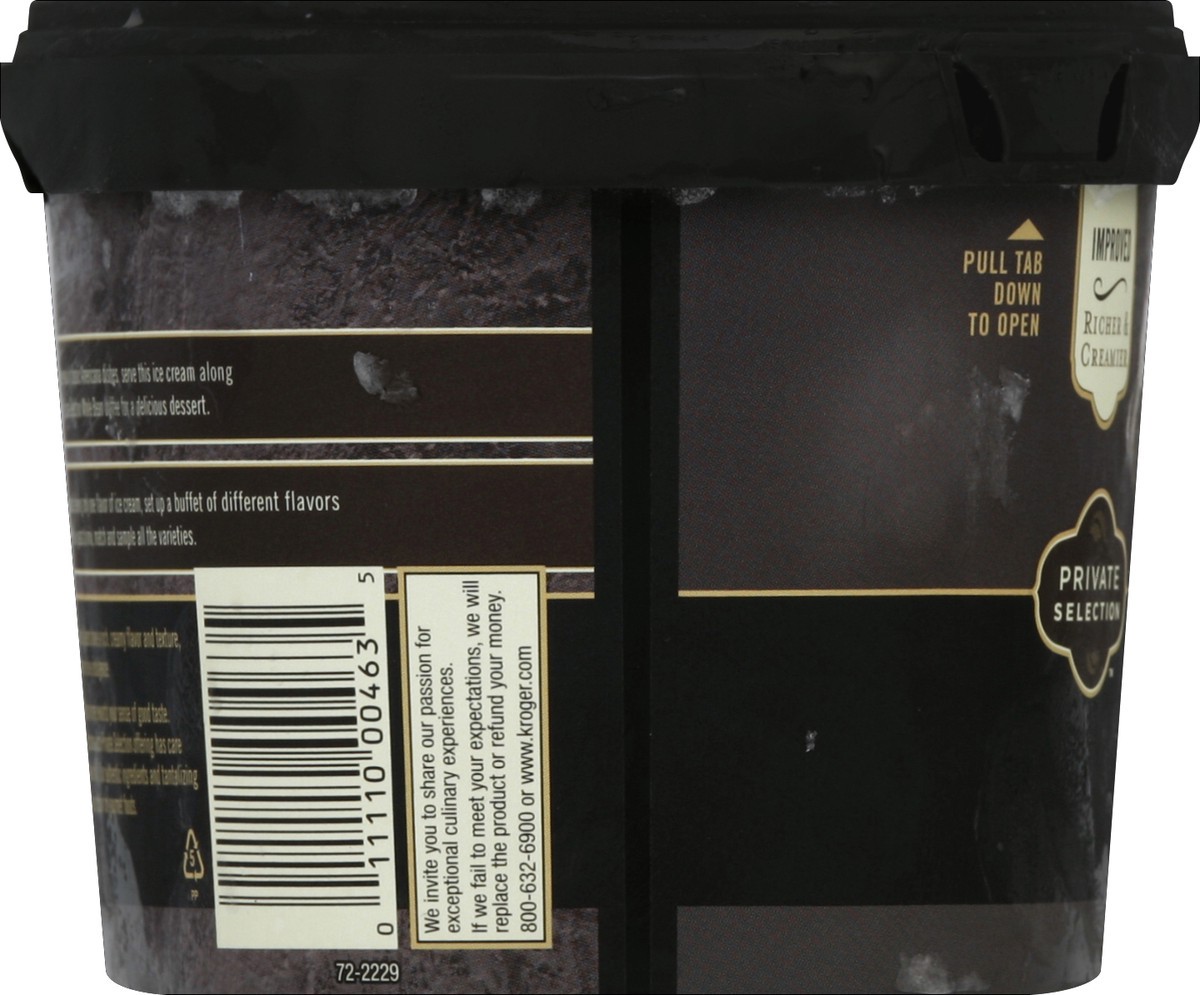 slide 4 of 6, Private Selection Semi-Sweet Chocolate Chip Ice Cream, 48 fl oz