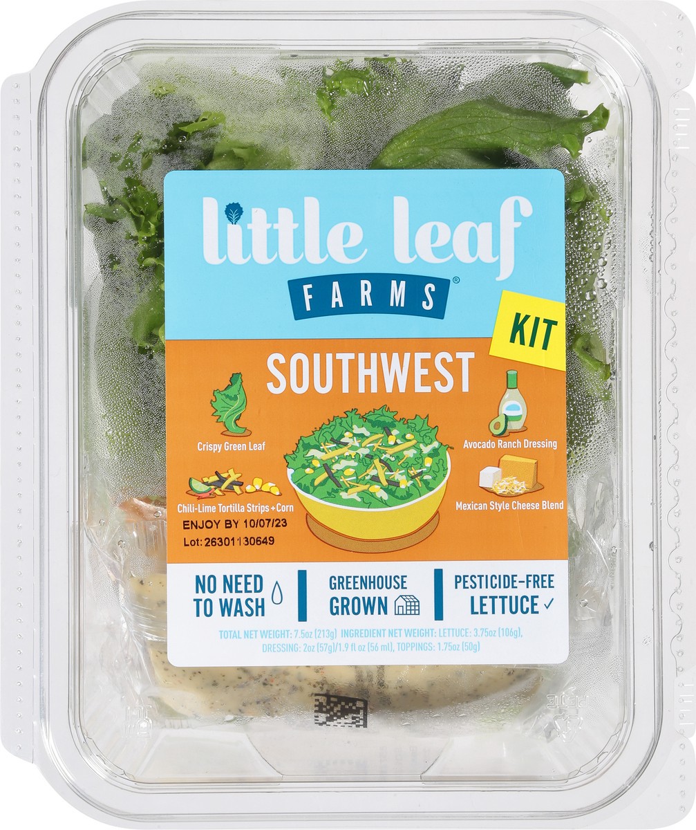 slide 9 of 14, Little Leaf Farms Southwest Kit 7.5 oz, 7.5 oz