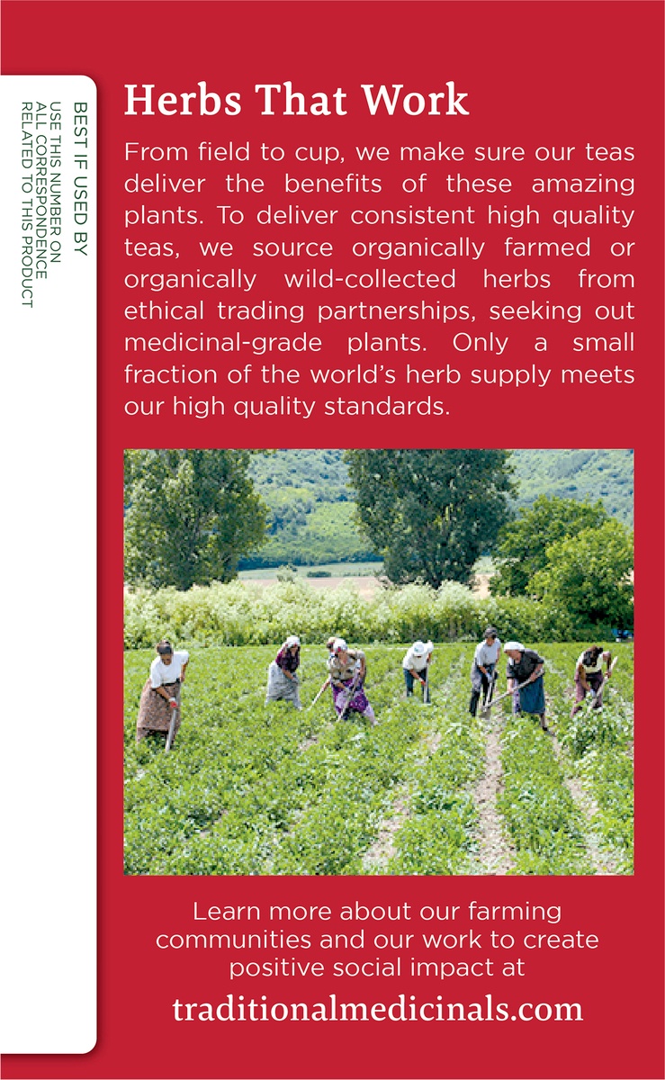 slide 2 of 6, Traditional Medicinals Herbal Tea Organic Seasonal Echinacea Plus Elderberry, 16 ct