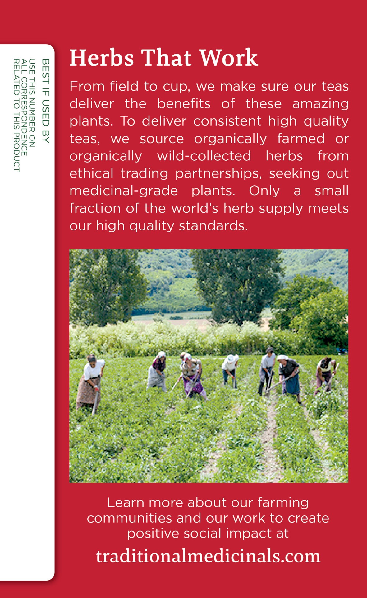 slide 2 of 3, Traditional Medicinals Echicancea Plus Elderberry Tea Bags - 16ct, 16 ct