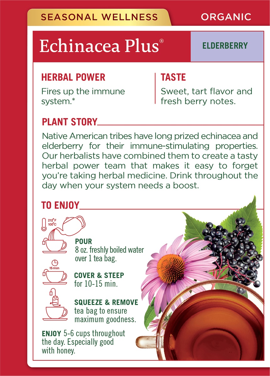 slide 5 of 6, Traditional Medicinals Herbal Tea Organic Seasonal Echinacea Plus Elderberry, 16 ct
