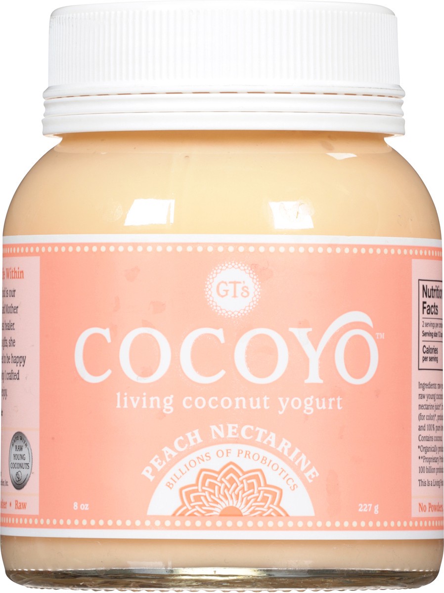 slide 3 of 9, Cocoyo Peach Nectarine Yogurt, 