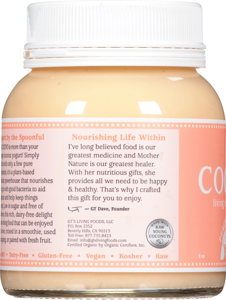 slide 9 of 9, Cocoyo Peach Nectarine Yogurt, 
