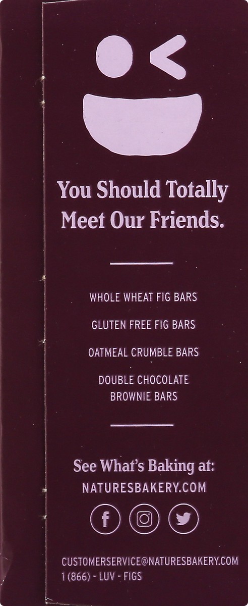 slide 3 of 9, Nature's Bakery Original Fig Whole Wheat Bars, Snack Bars, 6 Ct, 6 ct