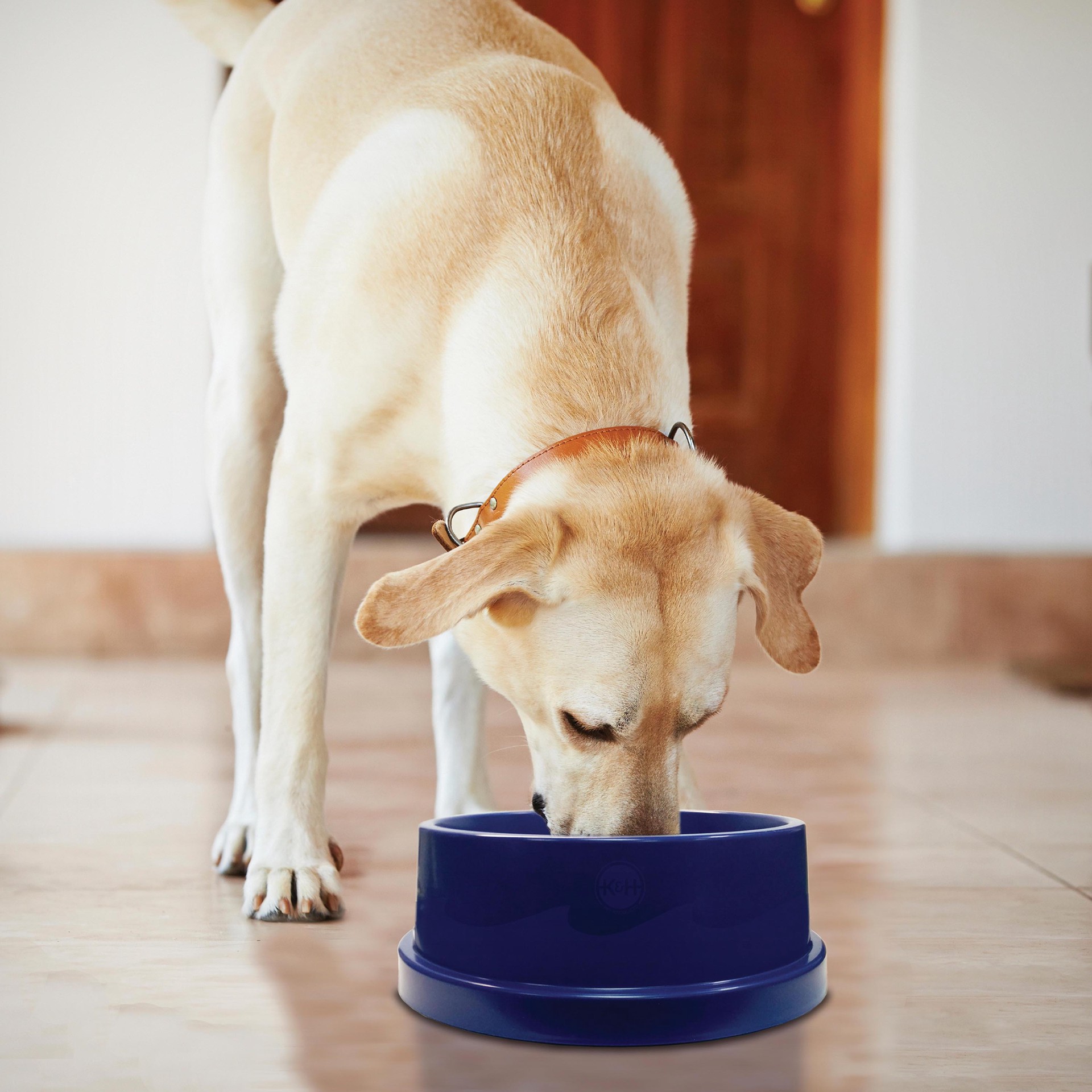 slide 1 of 7, K & H K&H Pet Products Coolin' Pet Bowl Blue 96 Ounces, 1 ct
