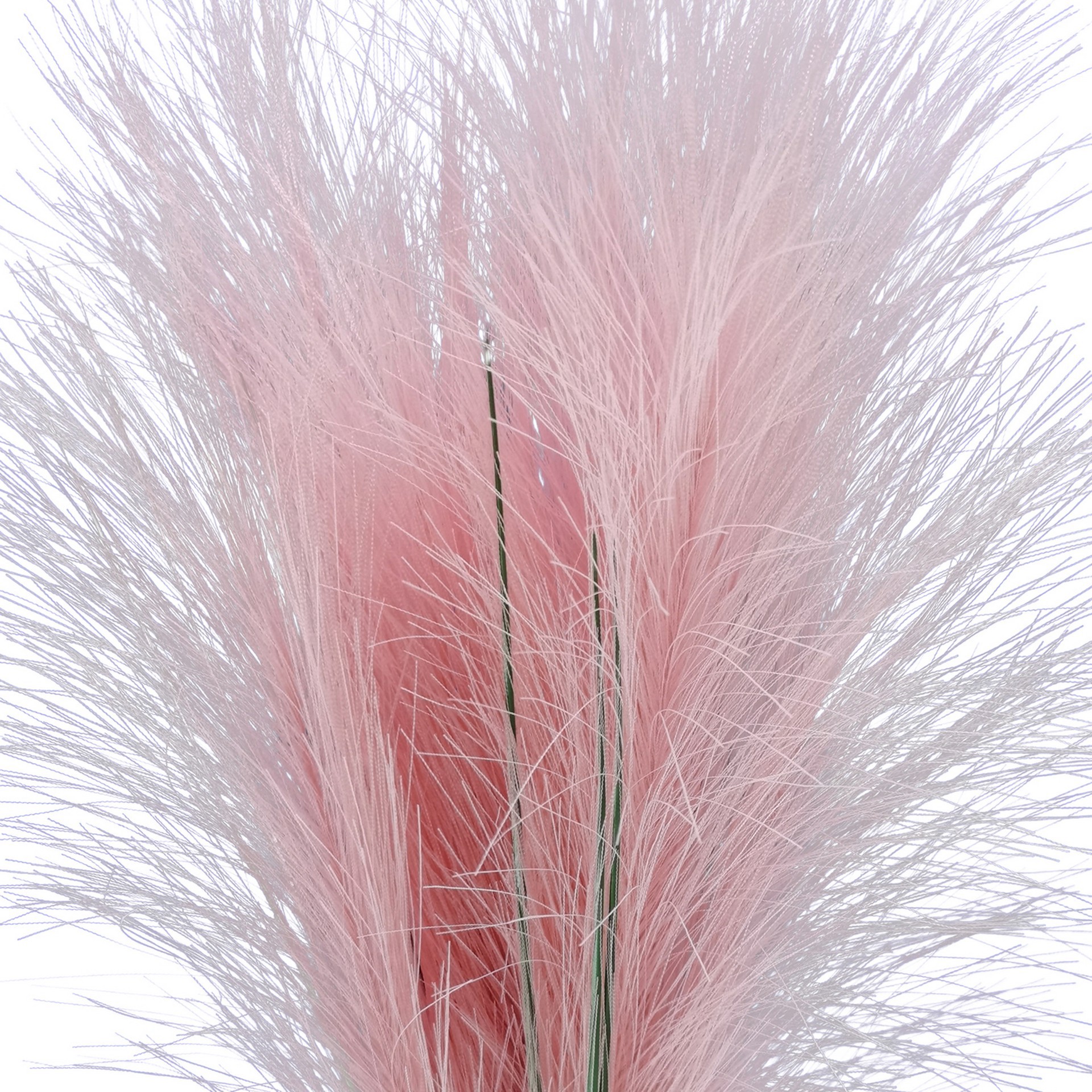 slide 3 of 3, 24" Pampas Bush By Ashland, 6 in x 6 in x 24 in