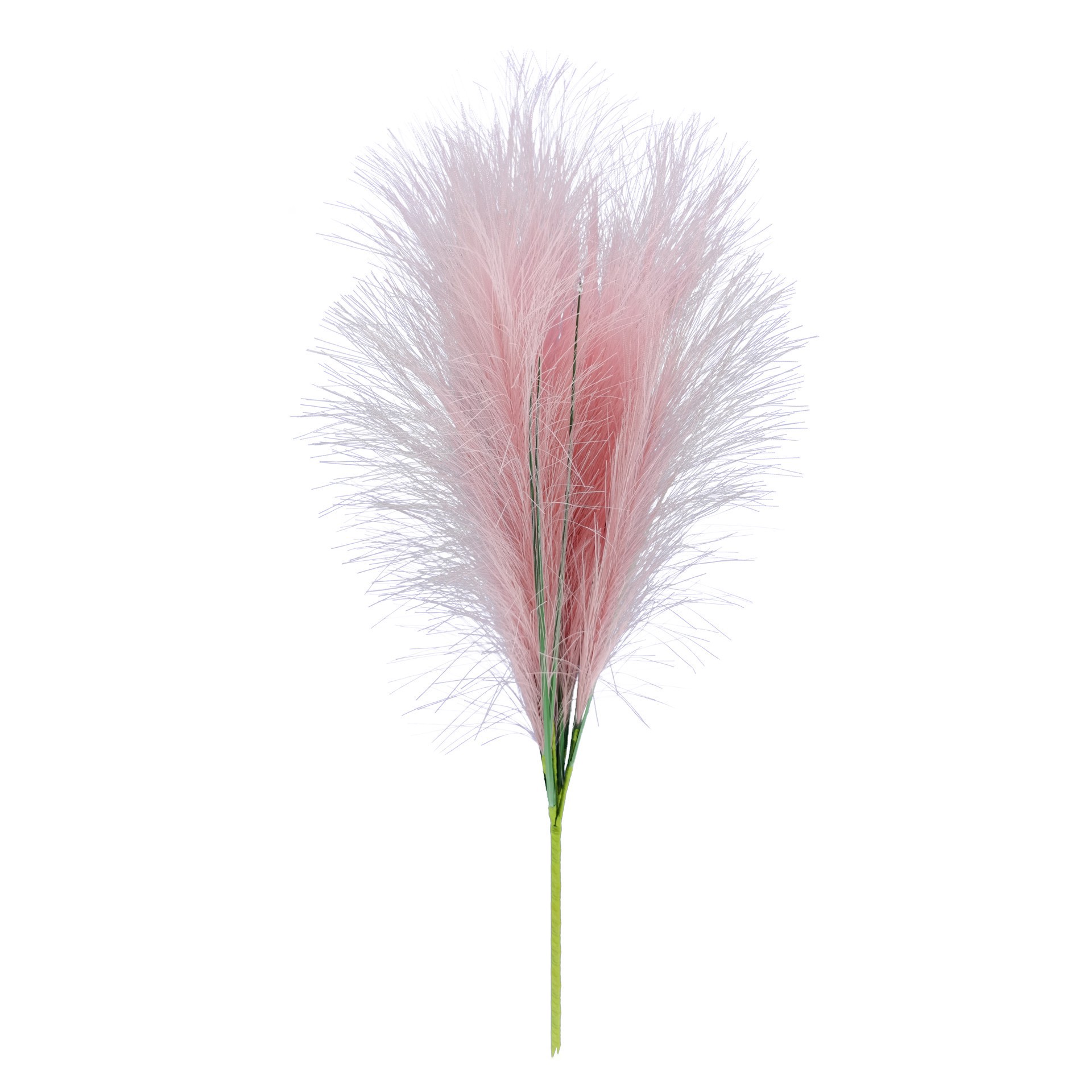 slide 2 of 3, 24" Pampas Bush By Ashland, 6 in x 6 in x 24 in