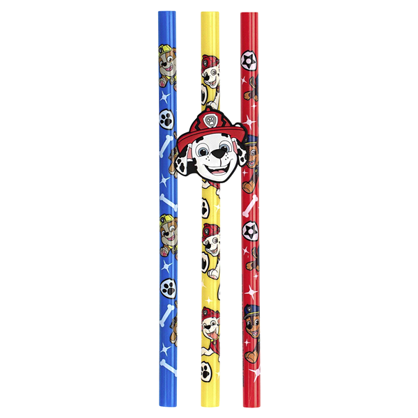 slide 1 of 1, PAW Patrol Reusable Straws, 3 ct