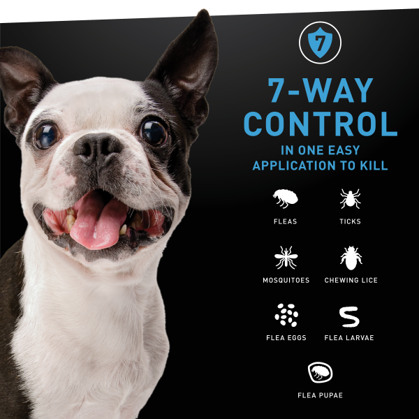 slide 13 of 19, Nextstar F&T SO Dog 5-22LB 3CT, 3 ct