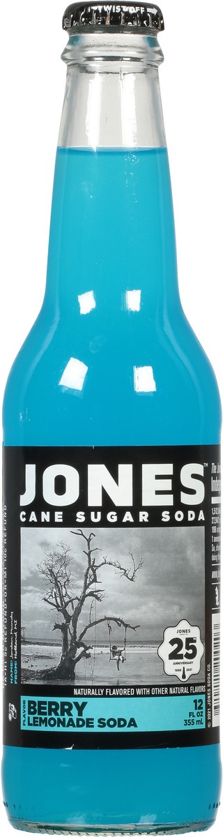 slide 5 of 9, Jones Berry Lemonade Cane Sugar Soda - 12 fl oz, 12 fl oz