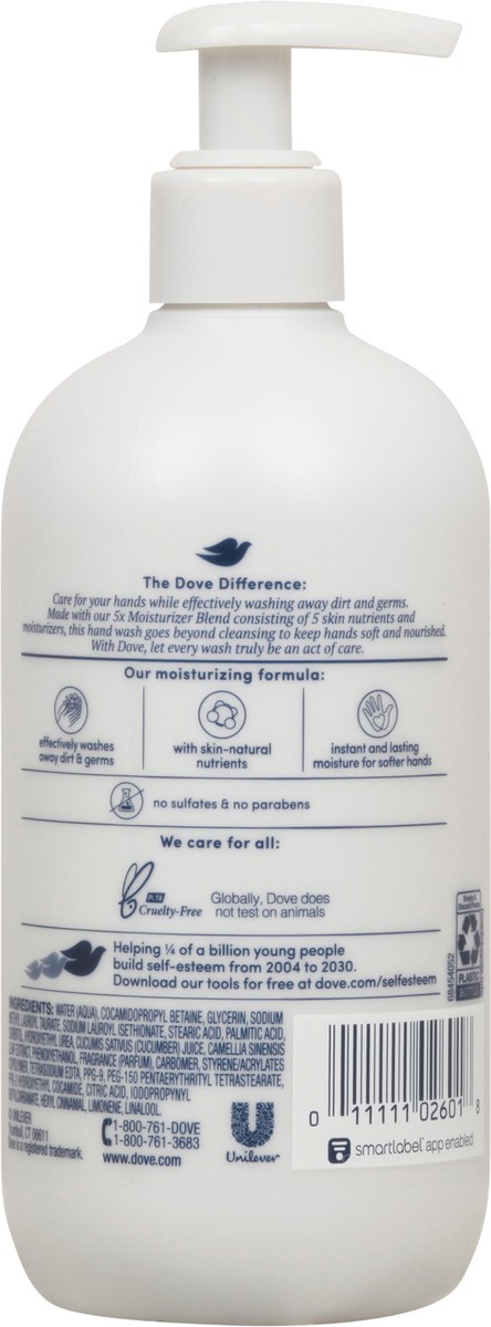 slide 4 of 10, Dove Refreshing Care Cucumber & Green Tea Hand Wash, 13.5 oz, 13.5 oz