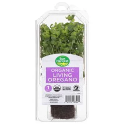 Sun Harvest Organic Oregano
