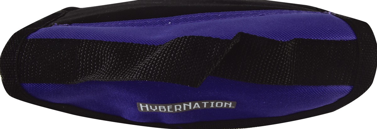 slide 2 of 5, Hybernation Lunch Bag 1 ea, 1 ct