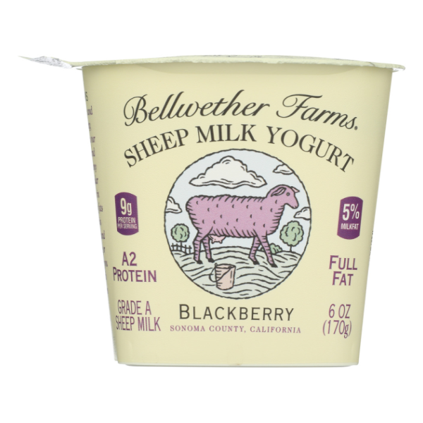 slide 1 of 1, Bellwether Farms Yogurt 6 oz, 6 oz