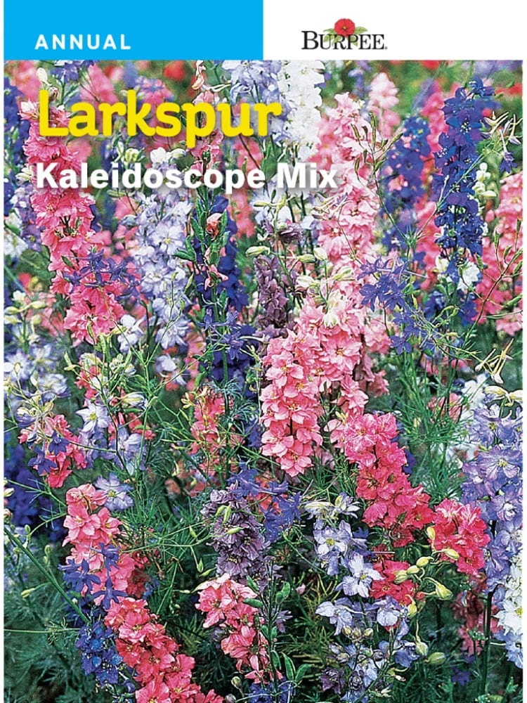 slide 1 of 1, Burpee Larkspur Kaleidoscope Mix Seeds - Multi-Color, 1 ct