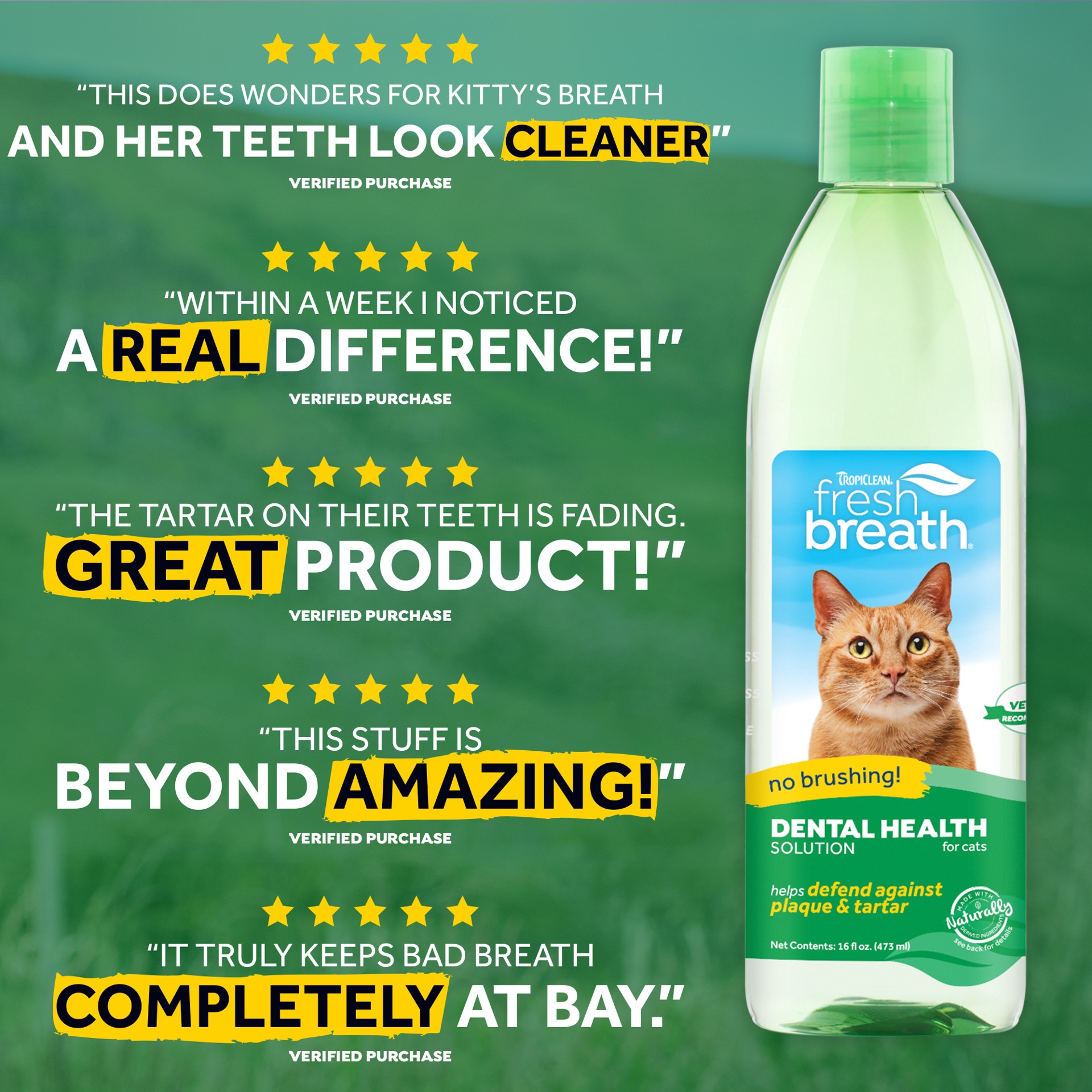 slide 6 of 9, TropiClean Fresh Breath Dental Health Solution for Cats, 16oz, 16 oz