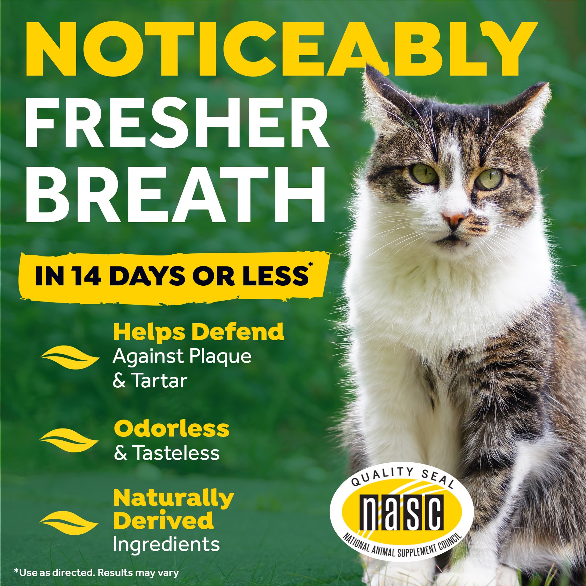 slide 3 of 9, TropiClean Fresh Breath Dental Health Solution for Cats, 16oz, 16 oz