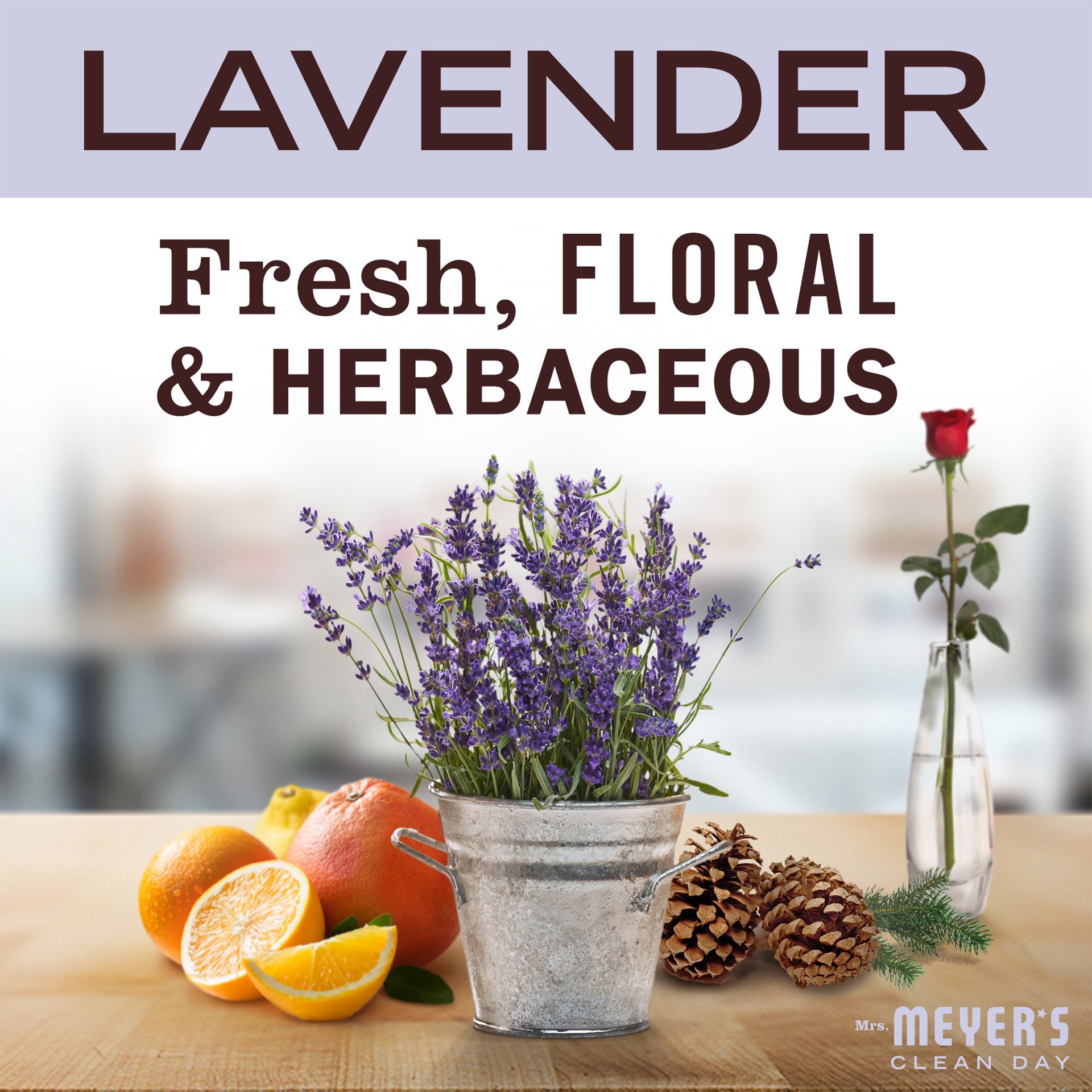 slide 5 of 9, Mrs. Meyer's Lavender Foaming Hand Soap, 10 fl oz