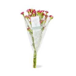 Assorted Mini Carnation Bunch