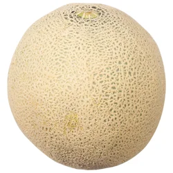 Melon, Cantagold, Persian
