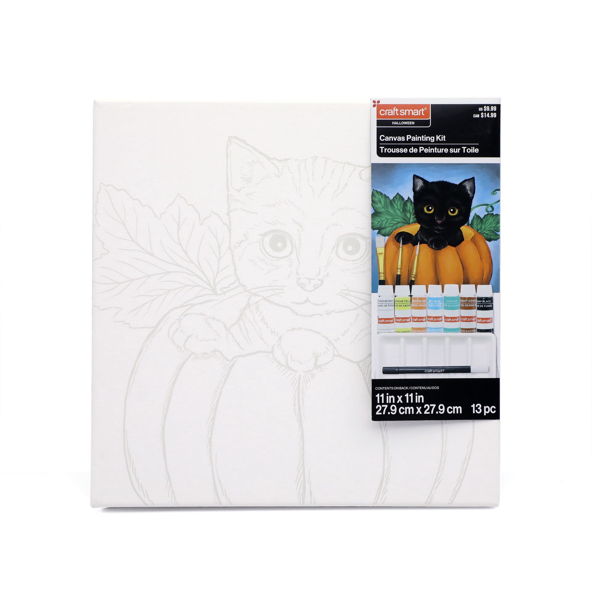 slide 5 of 5, 11" X 11" Kitten In Pumpkin Canvas Painting Kit By Craft Smart, 11 in x 11 in