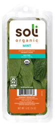 Soli Mint