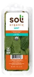 Soli Mint