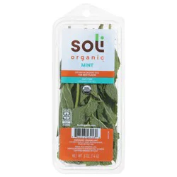 Soli Mint