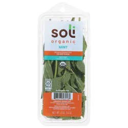 Soli Mint