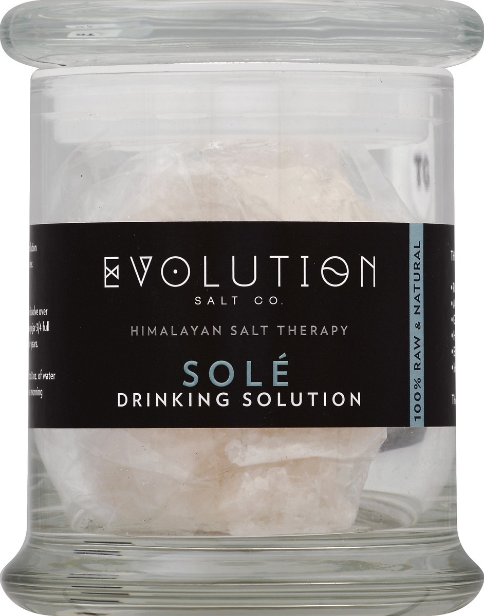 slide 2 of 2, Evolution Salt Salt Therapy 1 ea, 1 ct