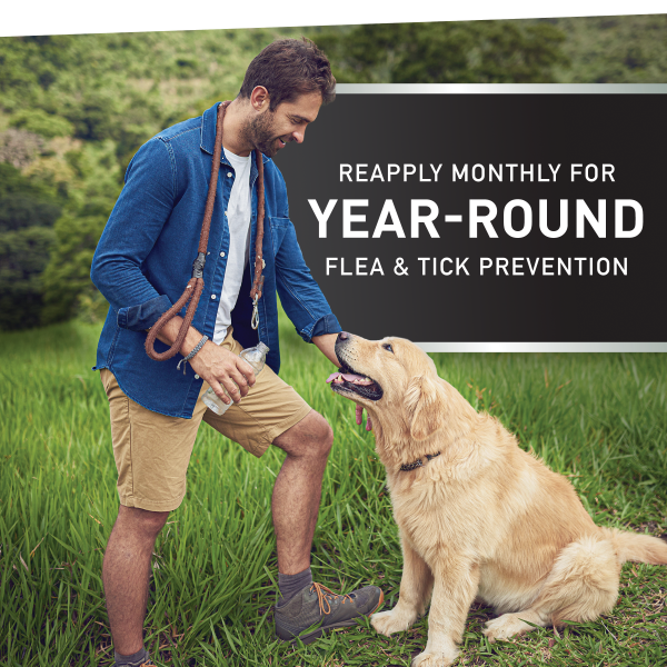 slide 9 of 19, Nextstar F&T SO Dog 23-44LB 3CT, 3 ct