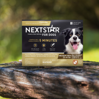 slide 14 of 19, Nextstar F&T SO Dog 23-44LB 3CT, 3 ct