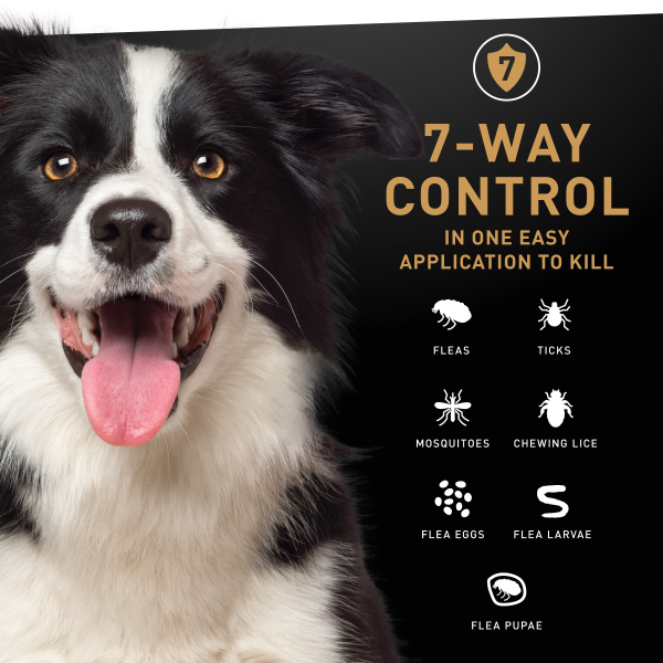 slide 15 of 19, Nextstar F&T SO Dog 23-44LB 3CT, 3 ct