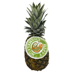 Happy Chameleon Gold Size 7 Pineapple 1 ea