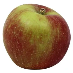 Honeycrisp Apple