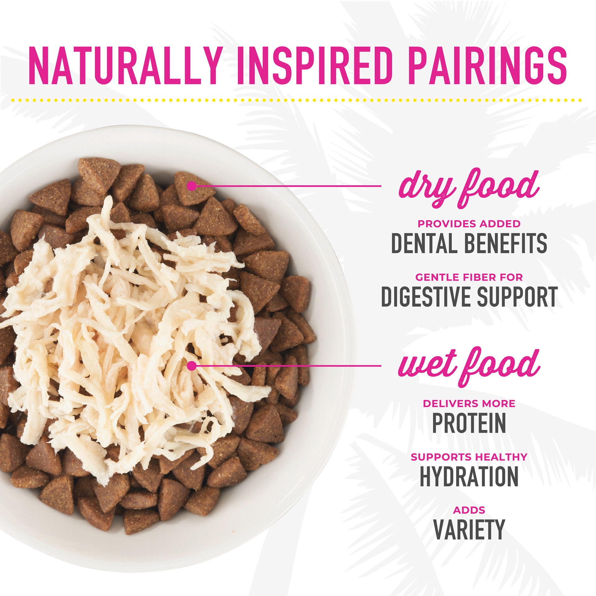 slide 6 of 8, Tiki Cat Aloha Friends Wet Cat Food, Chicken & Pumpkin, 2.5 oz. Pouch, 2.5 oz