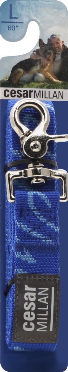 slide 2 of 3, Cesar Millan Collar, 1 in