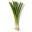 Green Onions