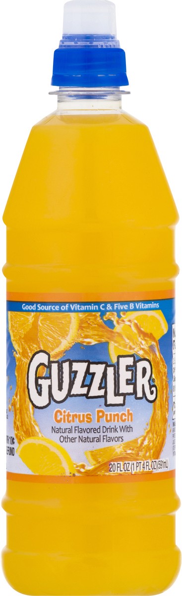 slide 6 of 9, Guzzler Citrus Punch Fruit Drink 20 oz, 20 oz