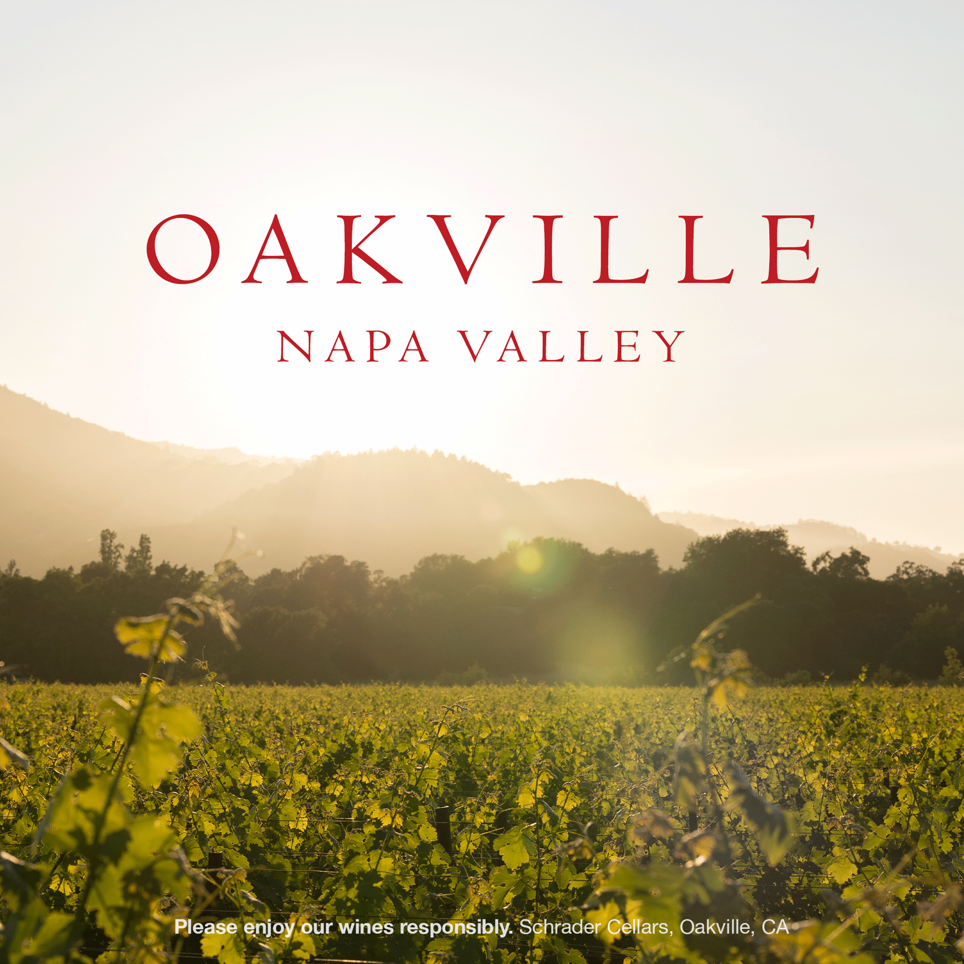 slide 4 of 10, Schrader Cellars Double Diamond Cabernet Sauvignon 2022 Oakville, Napa Valley Red Wine, 750mL Bottle, 25.35 fl. oz