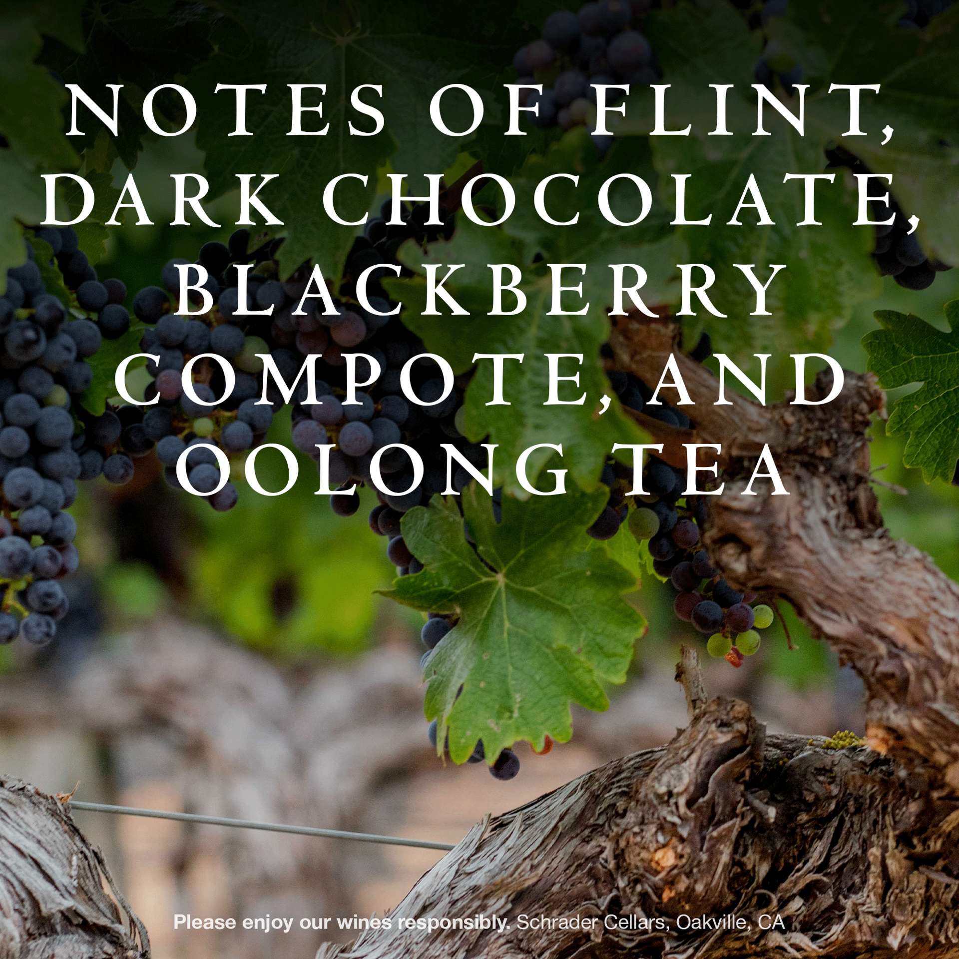 slide 9 of 10, Schrader Cellars Double Diamond Cabernet Sauvignon 2022 Oakville, Napa Valley Red Wine, 750mL Bottle, 25.35 fl. oz